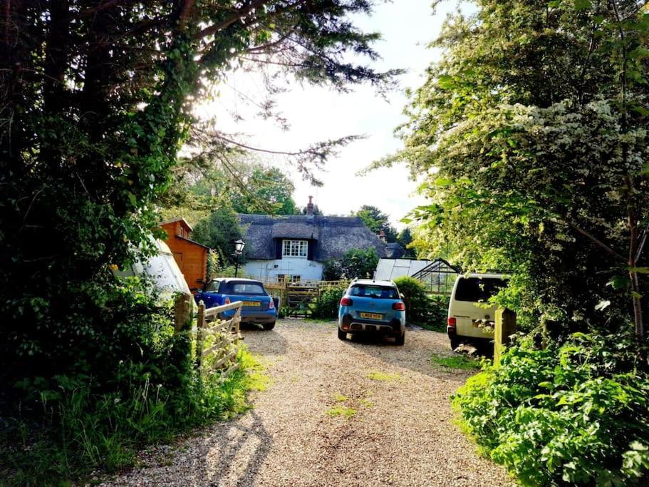 Piddle Puddle Cabin ดอร์เชสเตอร์ ภายนอก รูปภาพ